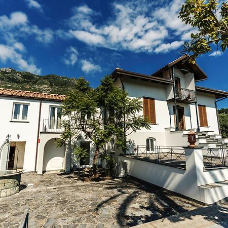 Tenuta Calitto Wine Resort E Spa 伊斯基亚 外观 照片