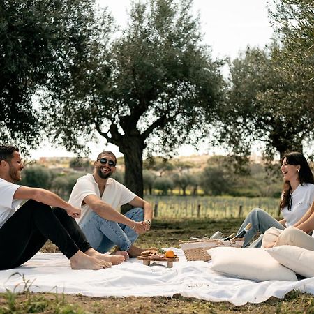 Tenuta Calitto Wine Resort E Spa 伊斯基亚 外观 照片