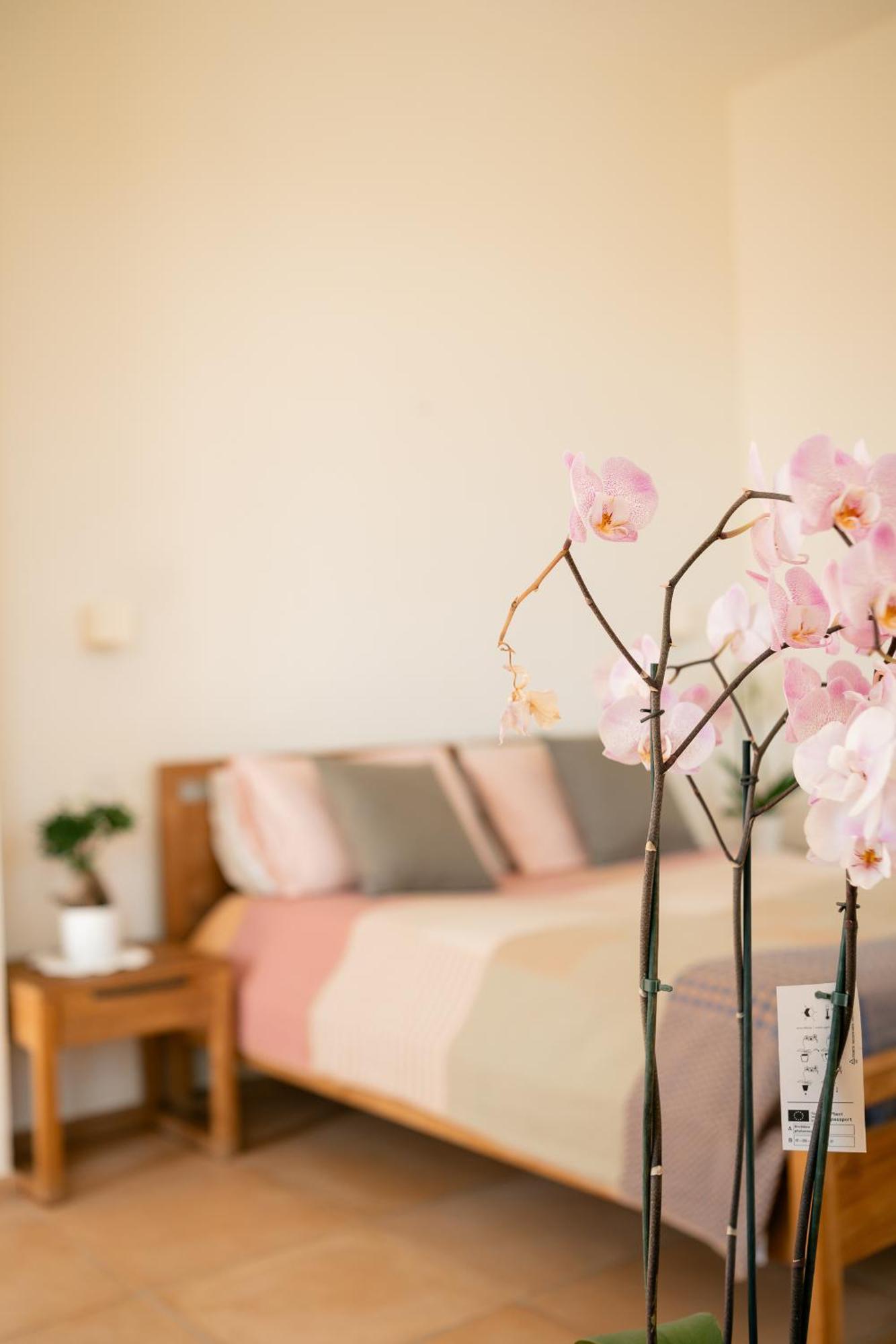 Tenuta Calitto Wine Resort E Spa 伊斯基亚 外观 照片