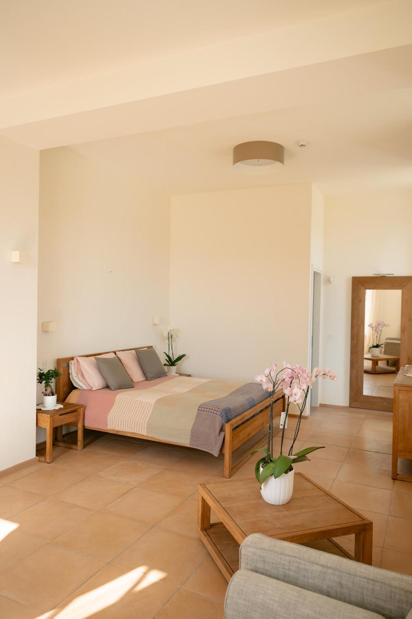 Tenuta Calitto Wine Resort E Spa 伊斯基亚 外观 照片