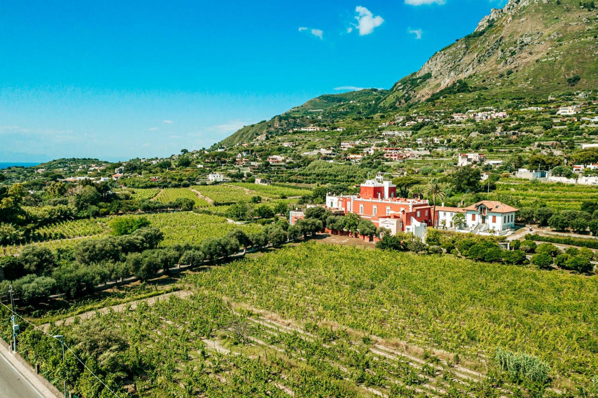 Tenuta Calitto Wine Resort E Spa 伊斯基亚 外观 照片