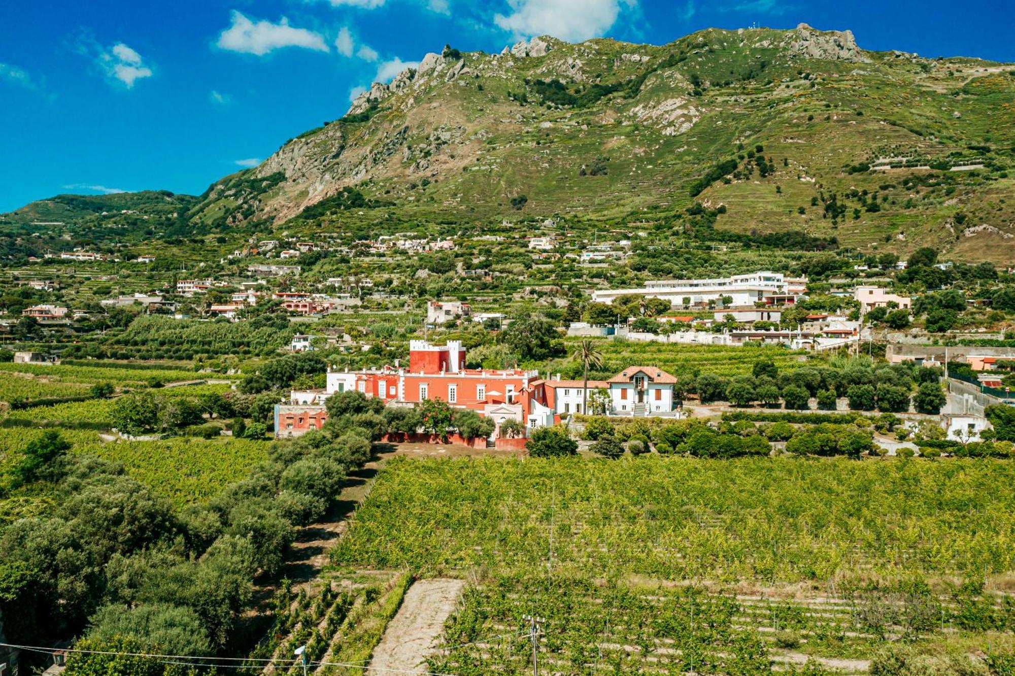 Tenuta Calitto Wine Resort E Spa 伊斯基亚 外观 照片