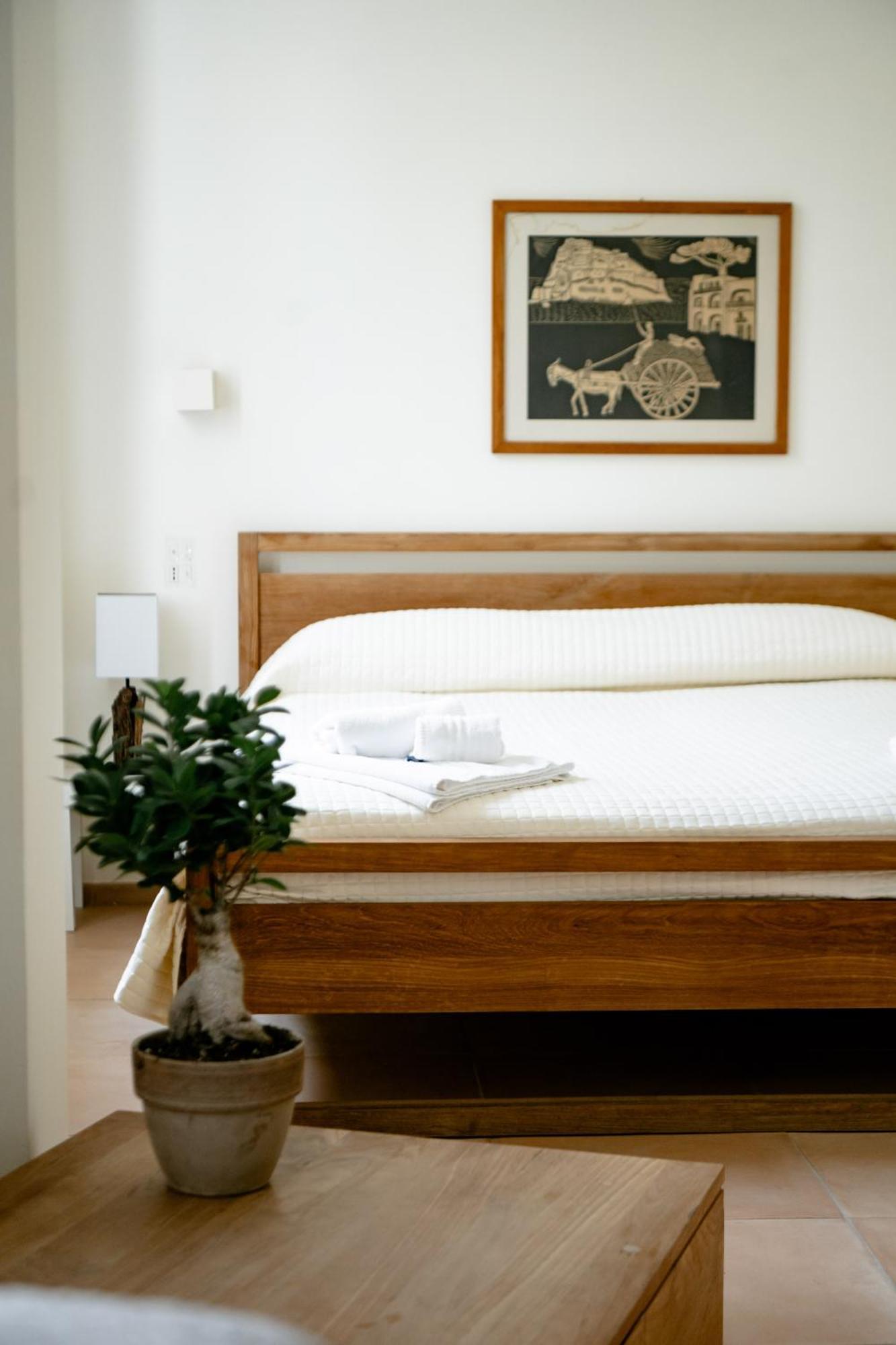 Tenuta Calitto Wine Resort E Spa 伊斯基亚 外观 照片