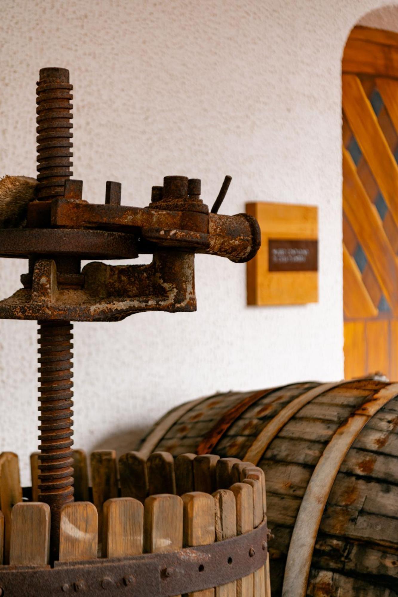 Tenuta Calitto Wine Resort E Spa 伊斯基亚 外观 照片