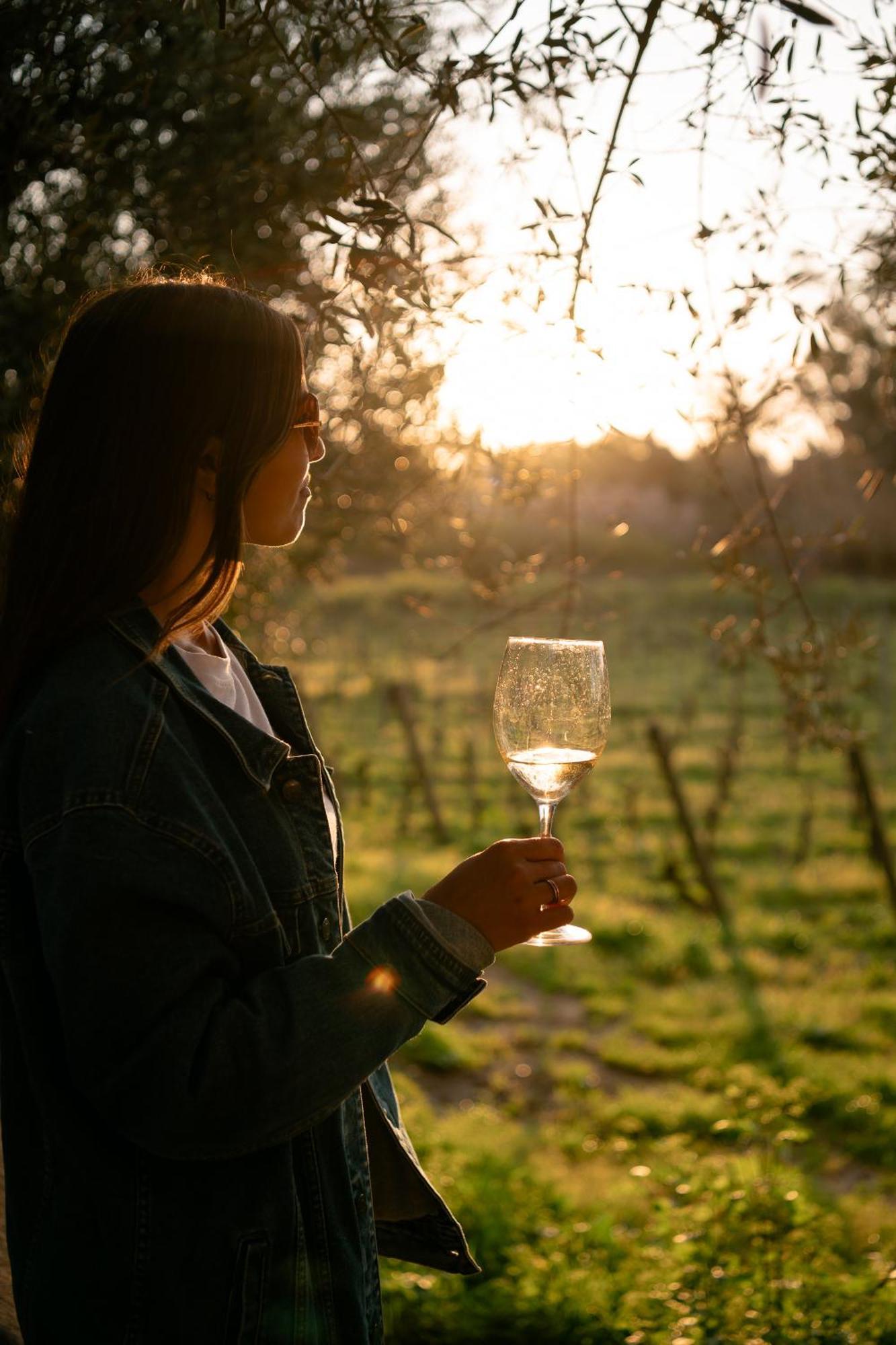 Tenuta Calitto Wine Resort E Spa 伊斯基亚 外观 照片