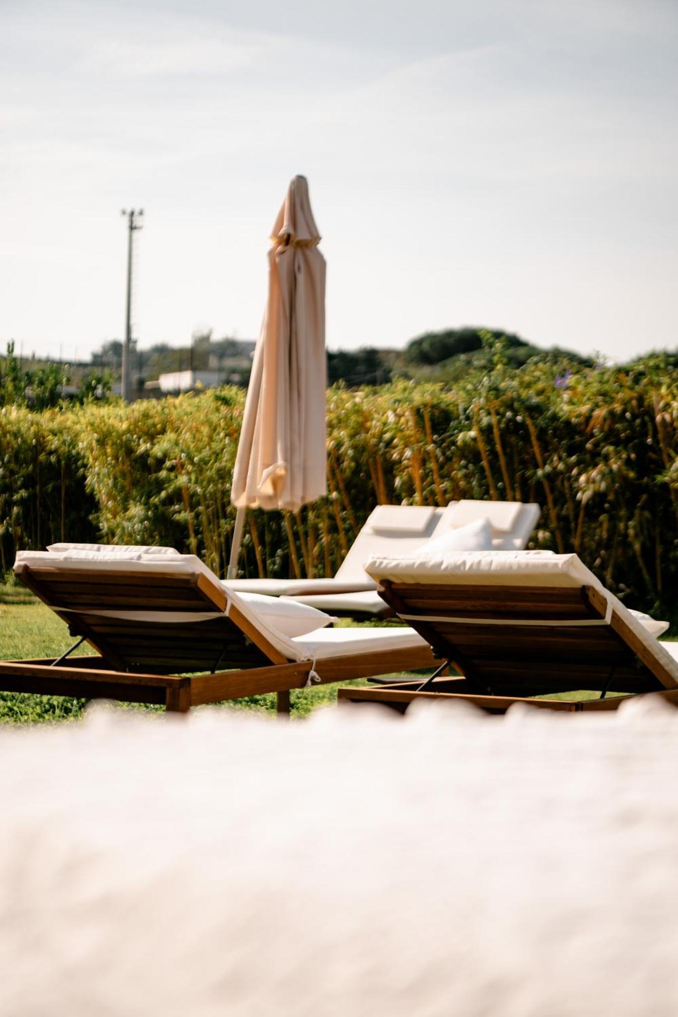 Tenuta Calitto Wine Resort E Spa 伊斯基亚 外观 照片